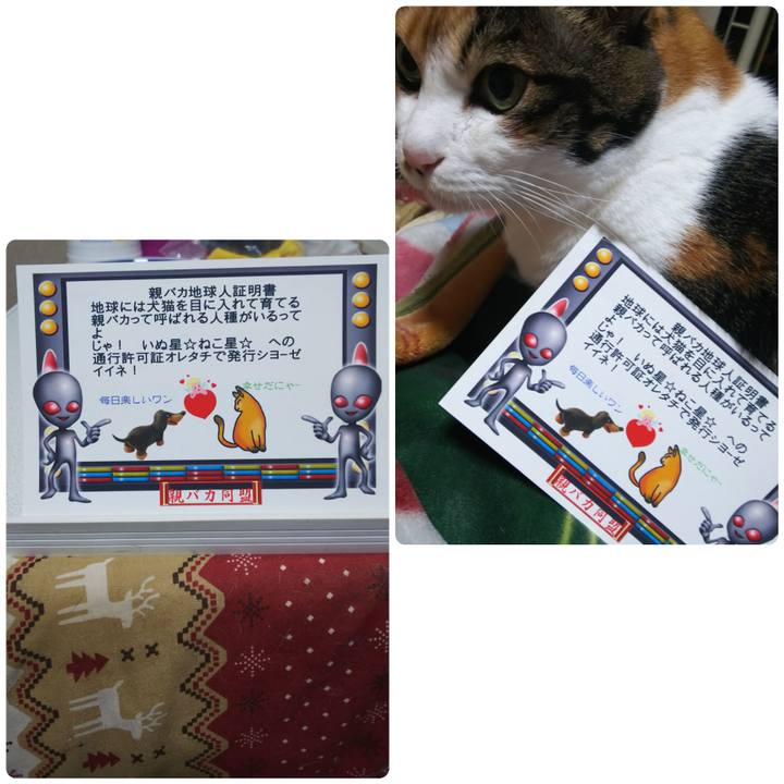 4ac95f6d 915a 436e ae3f bf953bcb015e 1572953957977