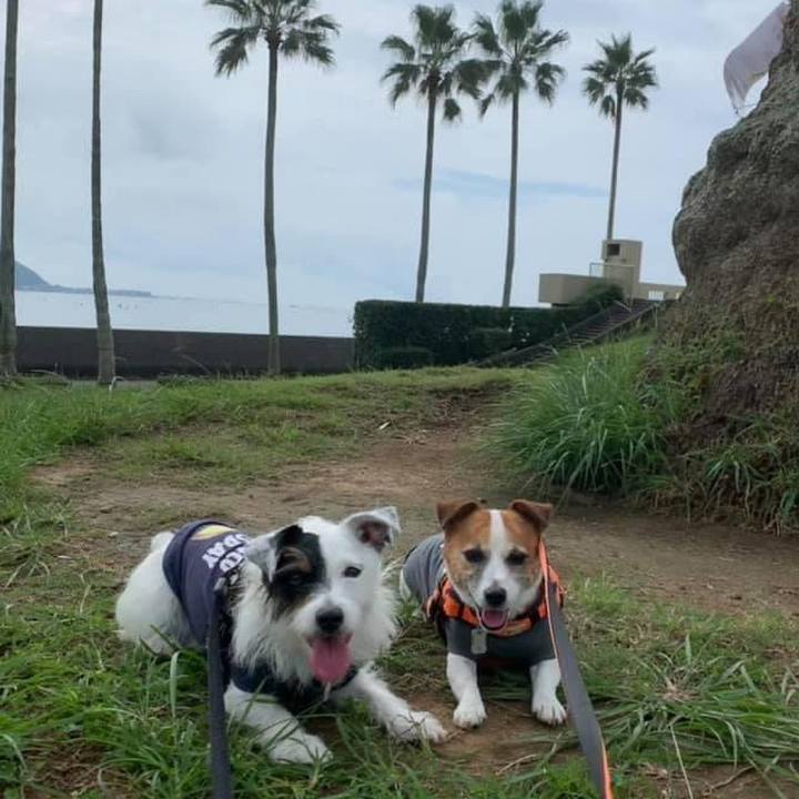 4ac9ac0a 40ac 4a3d bc35 fbeb20b0a51a 1694433590707