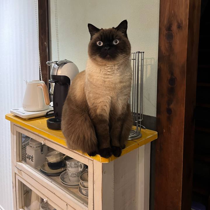 4ac9afe2 5dd1 4fa1 a0ff 0bd3c52bc4c3 1649416023938