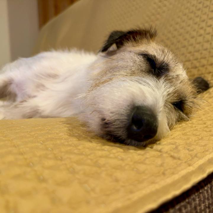 4ac9bf0f a191 46e1 89b9 a116d6c482c8 1726409657617