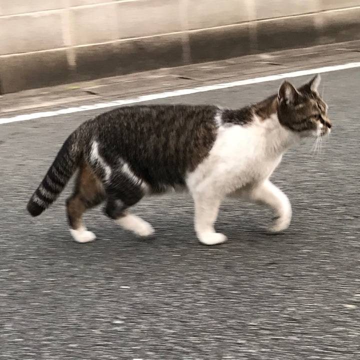 4ac9de42 8c47 40a8 b76b 8b7c68163713 1558012342765