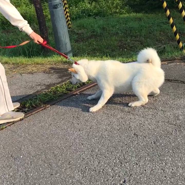 4aca04d9 b743 4cee ba00 0c7100b985c9 1533204637476