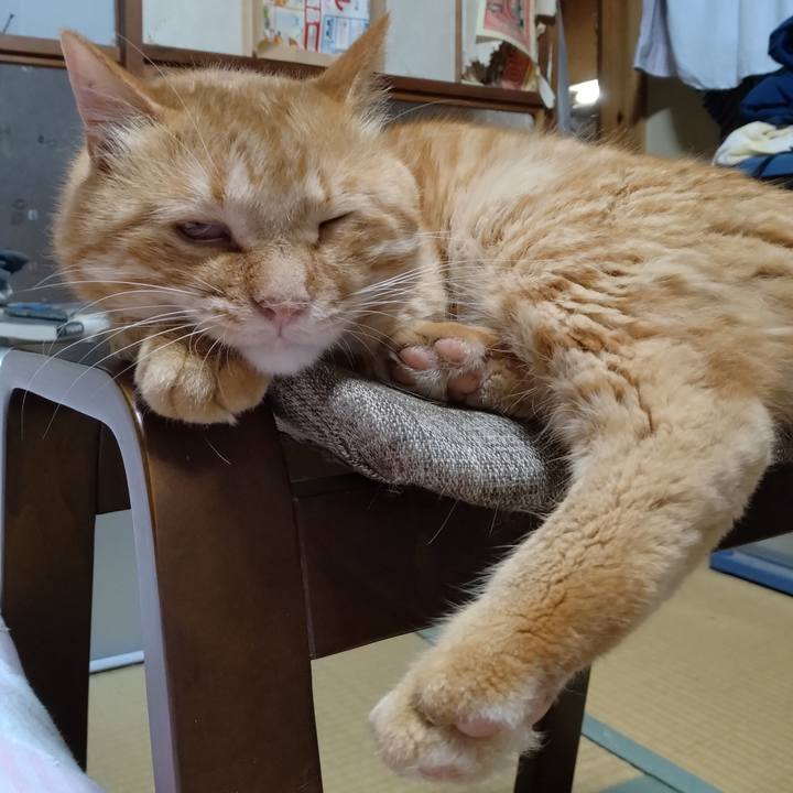 4aca4b61 95f5 4fe6 a7b2 0f01ed9fbad3 1689856832502