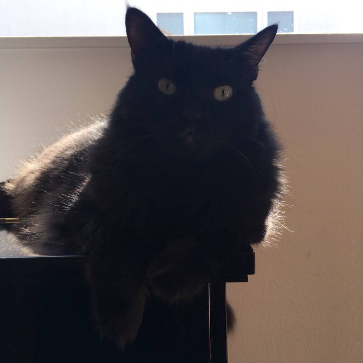 4aca703e 69f6 4c05 bc71 42de697f7d39 1569116272546