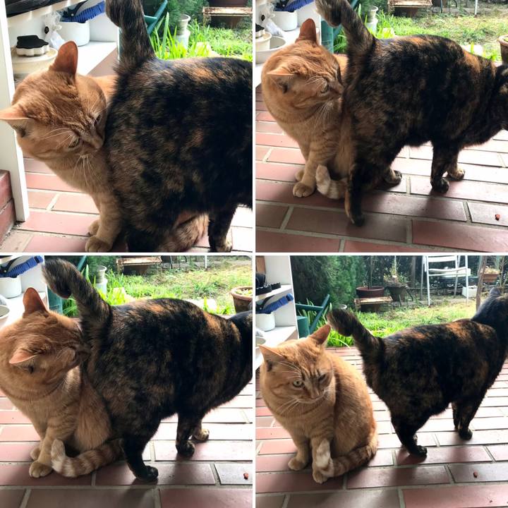 4aca809e cca7 40a0 9385 025b9f2bab81 1609120694318