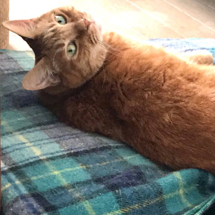 4acad9cb 6853 4b48 a18b 05138255a1f3 1638239285282