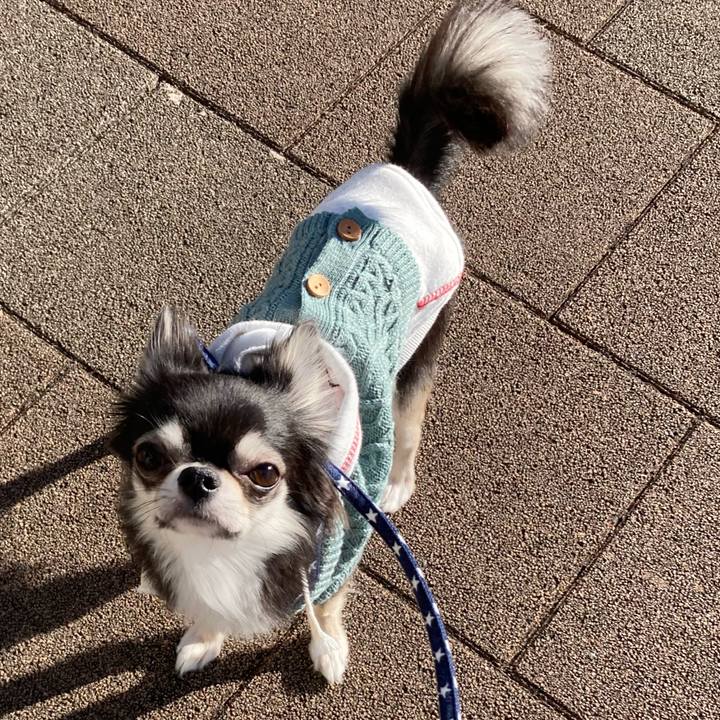 4acafef5 b644 41ca 8358 26956b82c91c 1641055115118