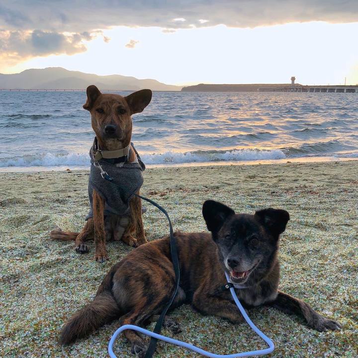 4acb0b99 f49a 4e7b b568 327592735e61 1578397626073