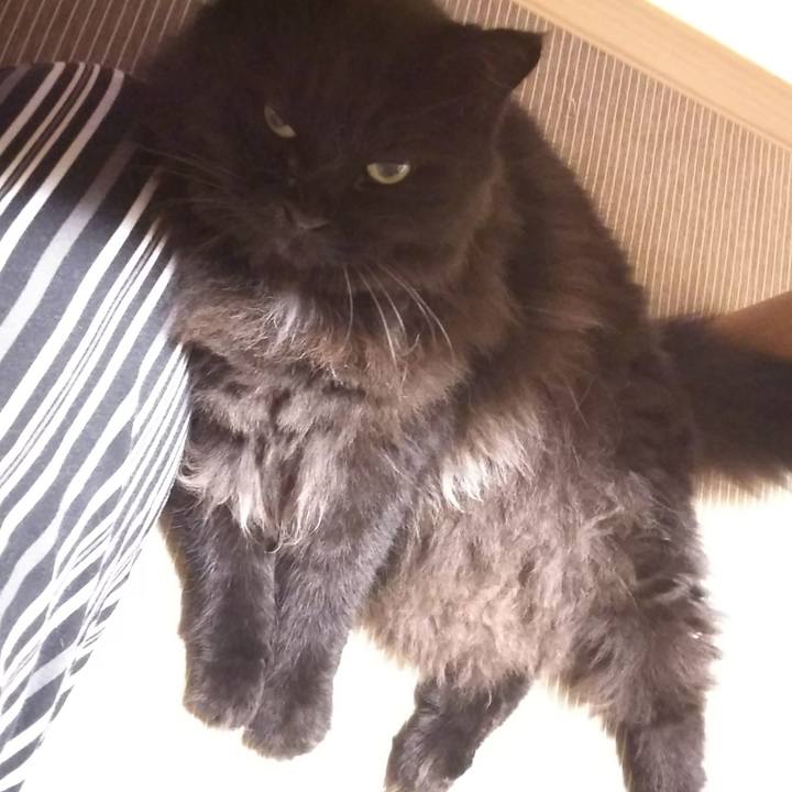 4acb610a 93d9 44bb ac5f 5ea5880f4893 1566296250859