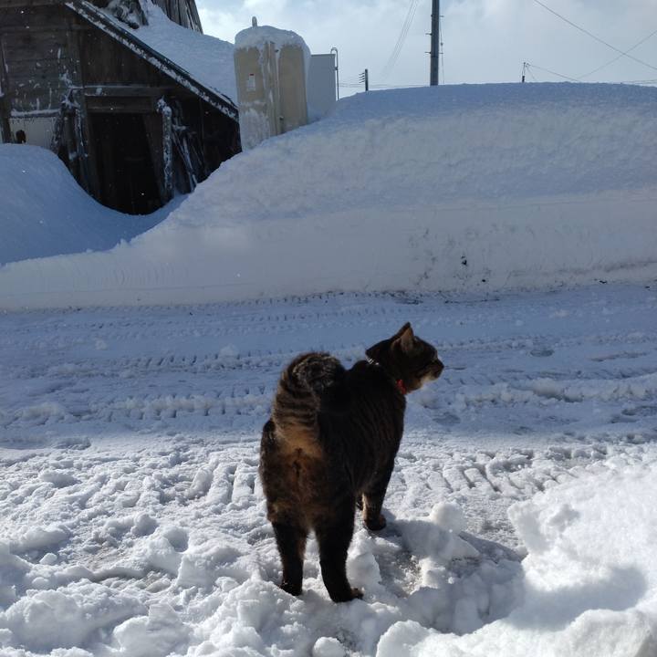 4acb612e 0b18 4eec 964d 672373499a3c 1675123235340