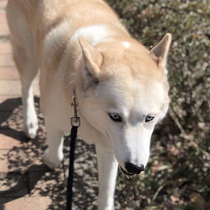 4acb7270 4ffe 479a 9fb3 9ee60914e36b 1645941413323