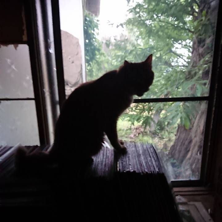 4acb773a f308 420b 8503 95d7d750ada7 1657850192834