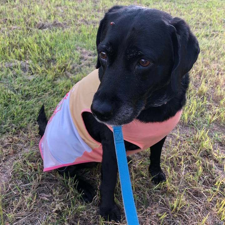 4acba469 4f9d 4b70 8723 fbe73f886964 1538479627161