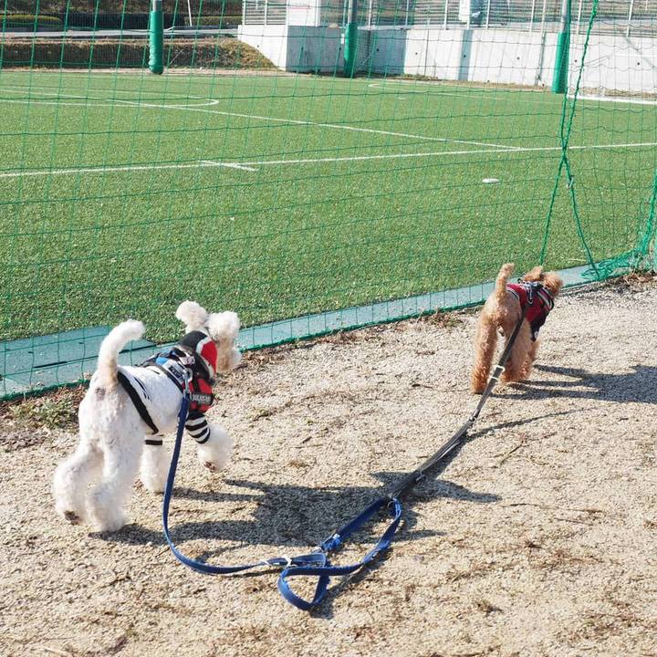 4acbb7dd da81 4d2a bdc0 25331cdc9f17 1549561439817