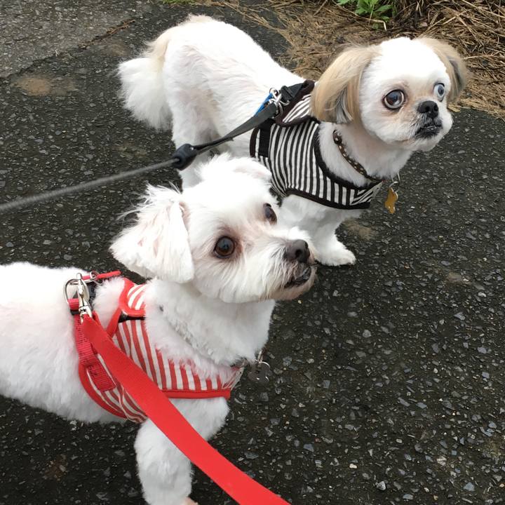 4acbccb7 bfb3 4591 a89b 635b70618ca5 1601108957376