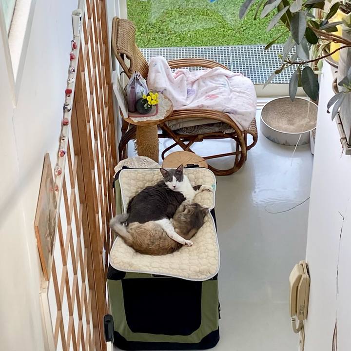 4acbdf80 1f85 4b44 ad49 9411c3b07f3f 1758607700146