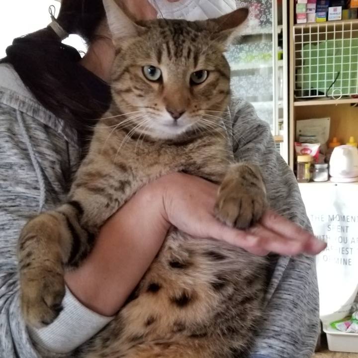 4acc1eb1 3025 403c 8a4b f9b325239360 1655138311848