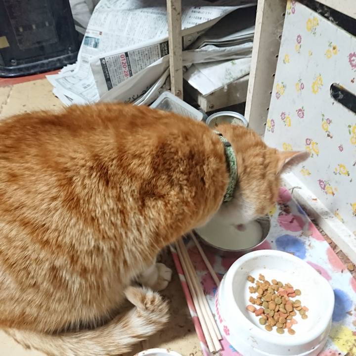 4acc36f5 6d23 4383 b366 1d1b53ce023b 1584562273640