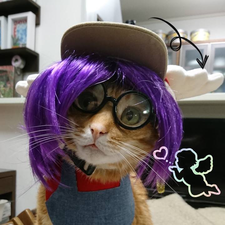 4acc6453 6d42 4c59 92b0 a344a1bd0527 1599174587297