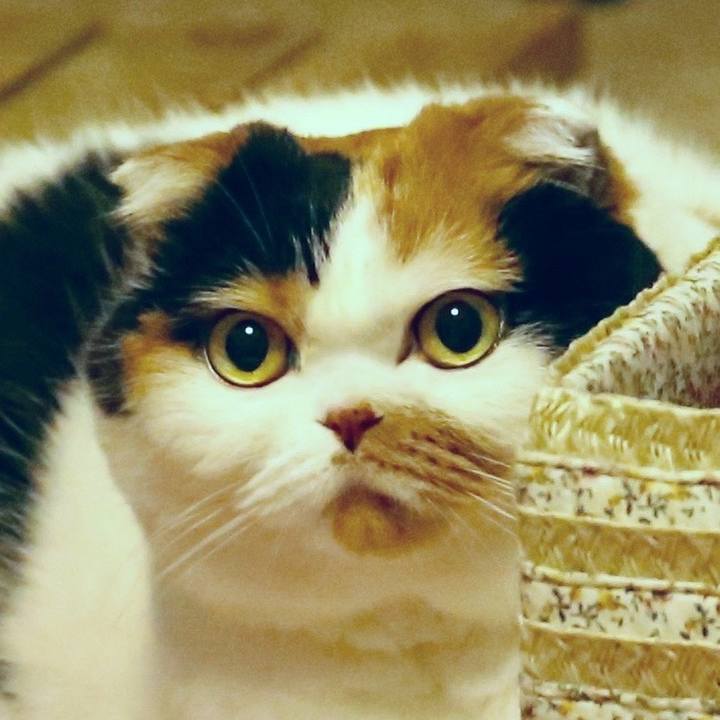 4acc75a6 8732 4d6a a14d cadac1357938 1563781341417