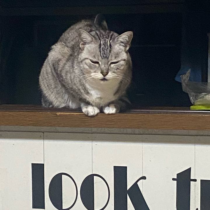 4acc904c bac7 4702 967c be67cedd6f05 1728656534270