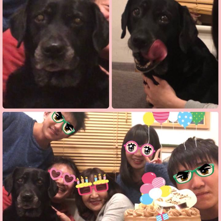 4accb347 f13b 4e2c ab7e d823c886049d 1551019887523