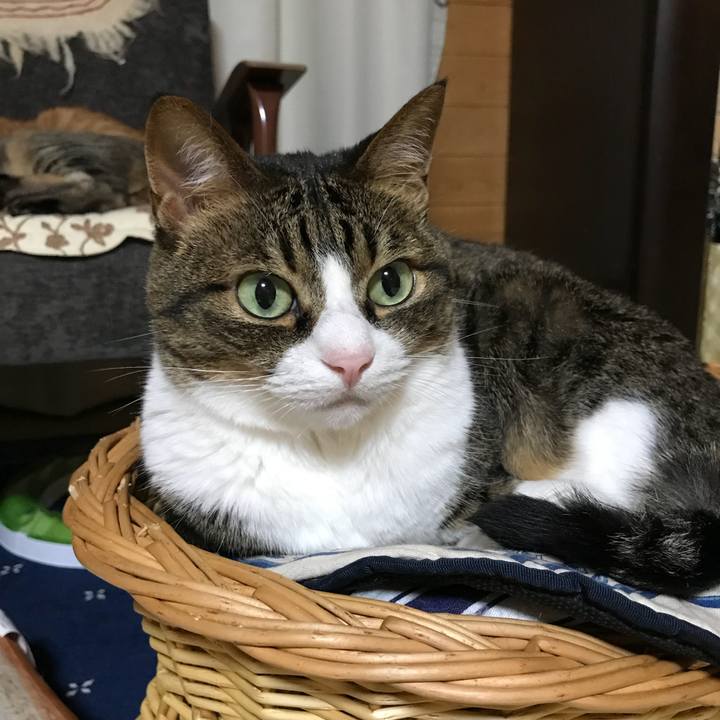 4accb4af 8e65 4e92 a23b 56664200d60e 1529669441398