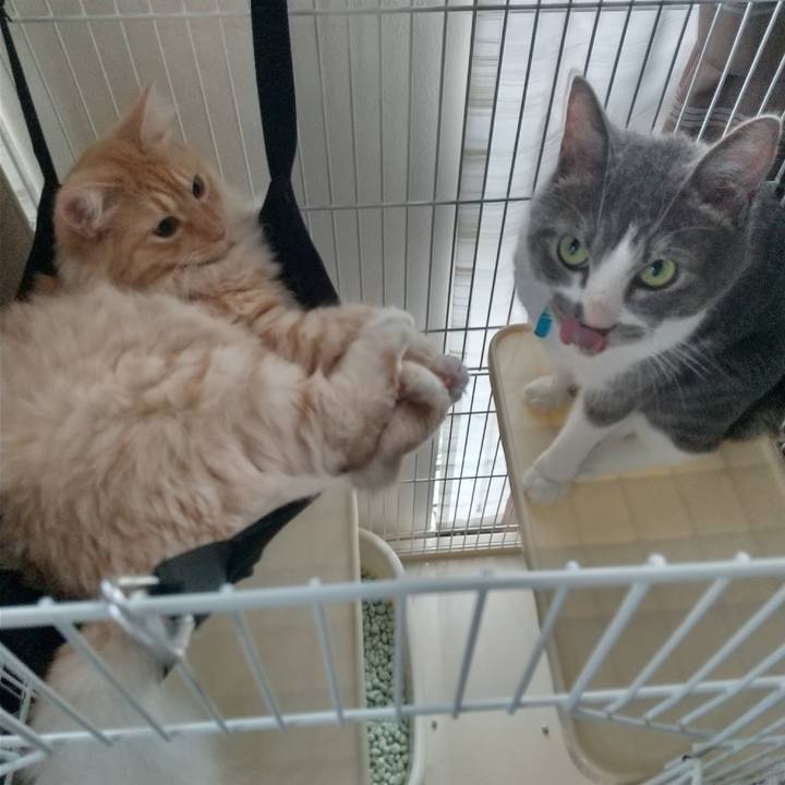 4accbebf 9d44 4ada 89b1 5f8328bc38e1 1628827151814