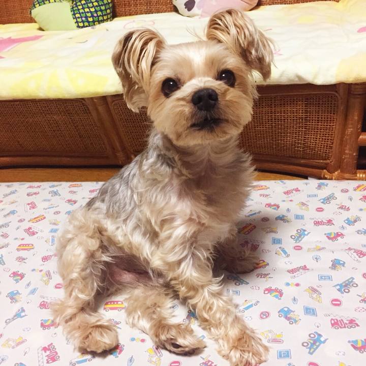 4accd6c7 4669 452d b98b 3b20e2974c7c 1527849533368