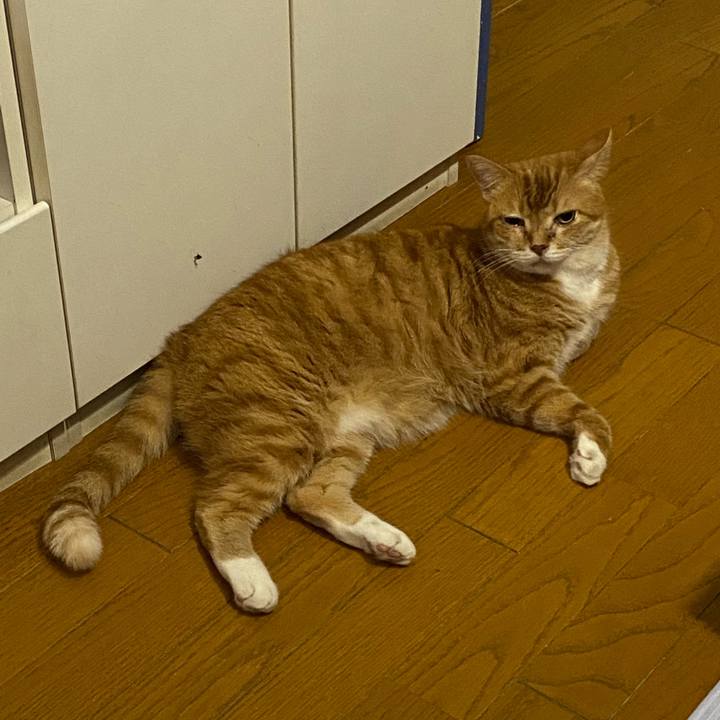 4acced16 7e42 4210 b579 75e5c313f381 1658261993918