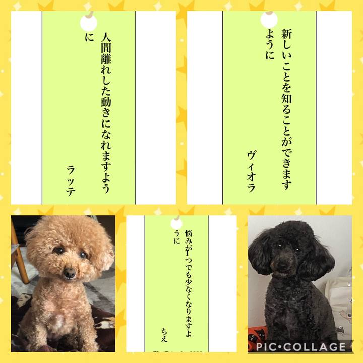 4accf6cb 1d29 49e8 8797 82eb19888bea 1594113953915