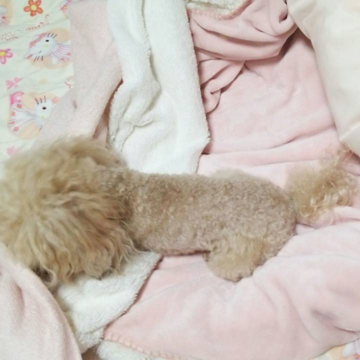 4acda646 6f93 4f03 9a85 ffe02f674fdd 1542029220718