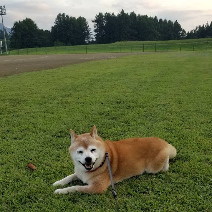 4acda77e 7878 4713 ab5d 34db6366932b 1727769812137