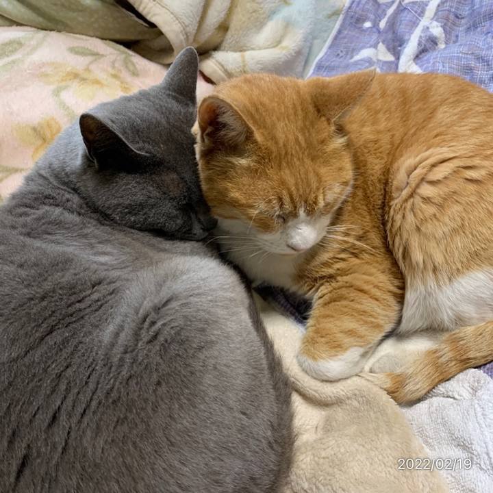 4acdcc07 2cbb 4ed5 8014 360ec2182709 1645252112531