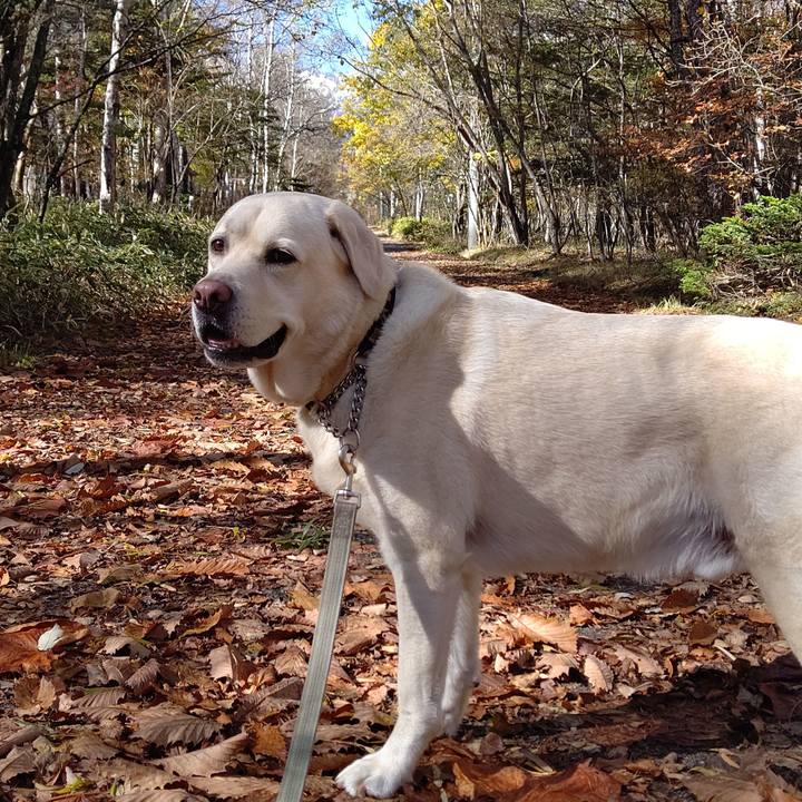 4acdf712 60b0 4091 9b09 72c458e923dd 1635488625280