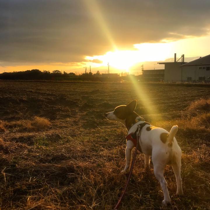 4ace217f c6a5 435a a316 2e7c0e0e18d8 1516272496201