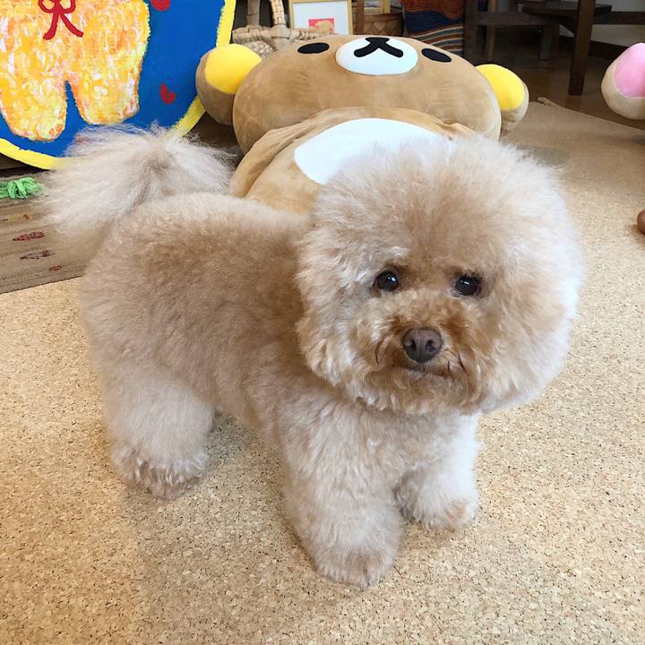 4ace7e3e fe9e 4ba2 9d4d 5bb3fdc5473e 1530867600294