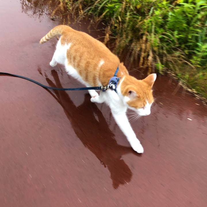 4acf0843 69d5 4a8f b3ea 158e666be3e4 1561854372792