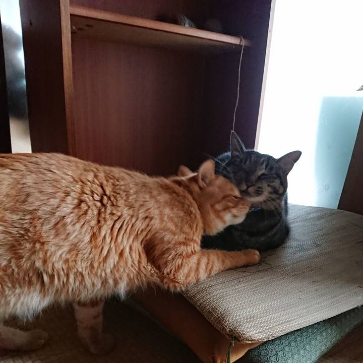 4acf2a44 95aa 488a a1aa 3dda91ad6d24 1661740297678