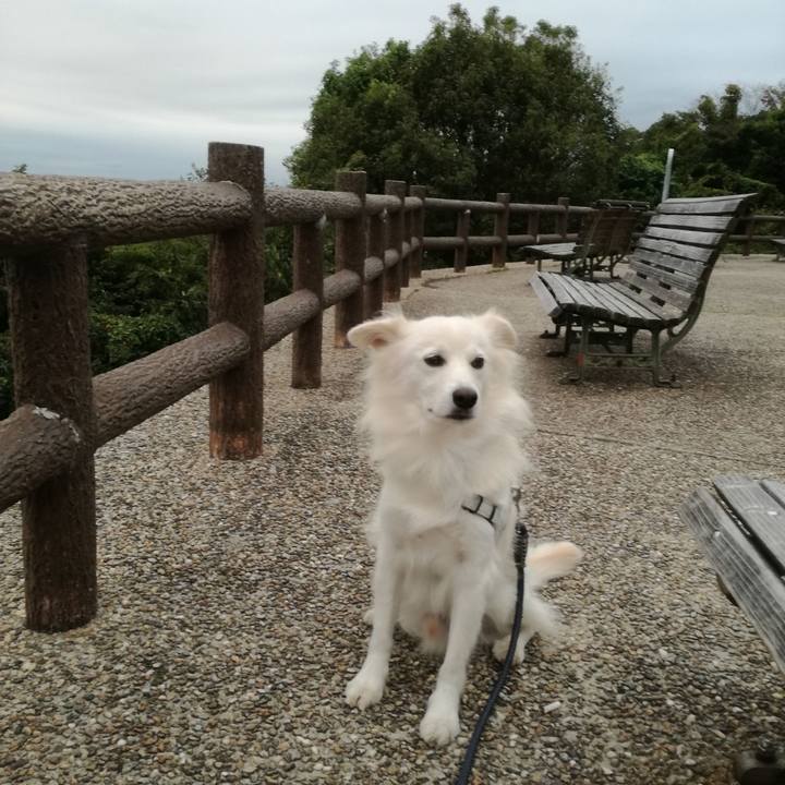 4acf3820 bff4 4757 8228 9548493601cf 1507800269826