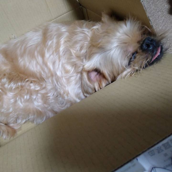 4acf3948 f9b9 4249 8bc2 e981d5b7178b 1654657430834