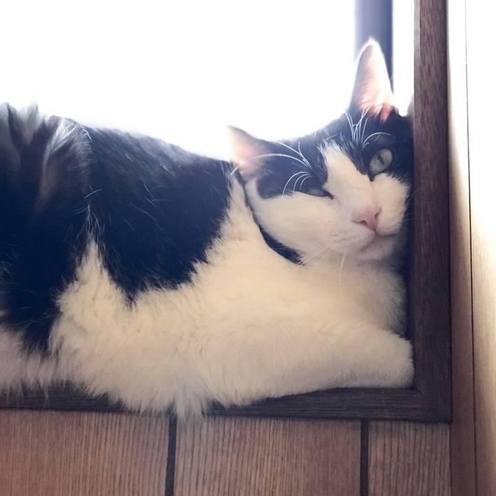 4acf61b6 1287 4567 90e0 e9e4bbf7c936 1527606699285