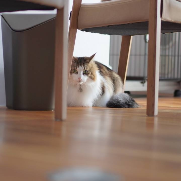 4acf74ac 5aa0 448c 9bd5 6daec09d19e7 1698380689220