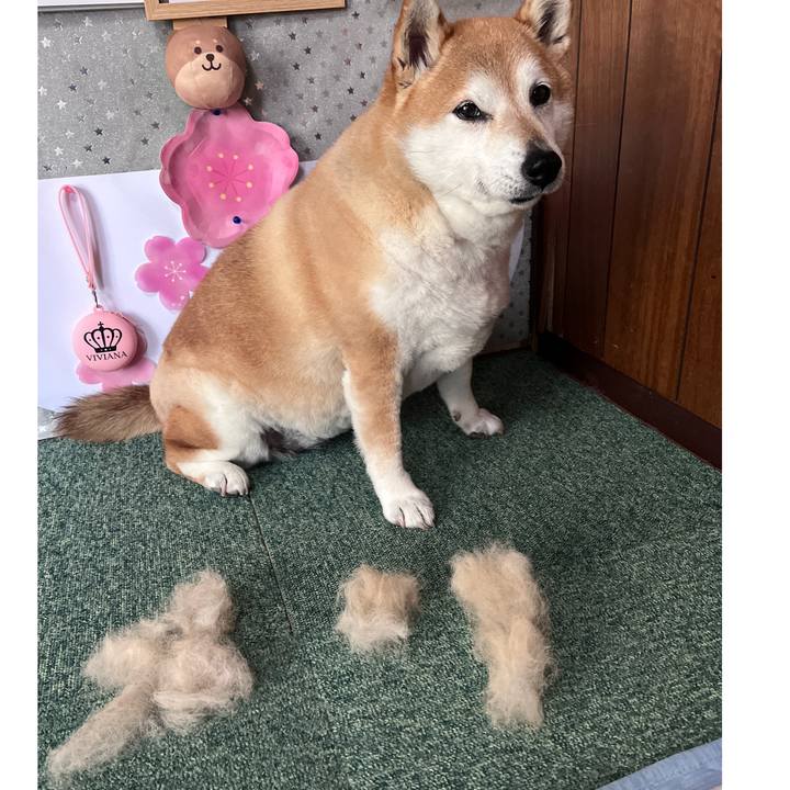 4acfab7f 6b6b 468d bbe6 00fe4456f891 1711418936473