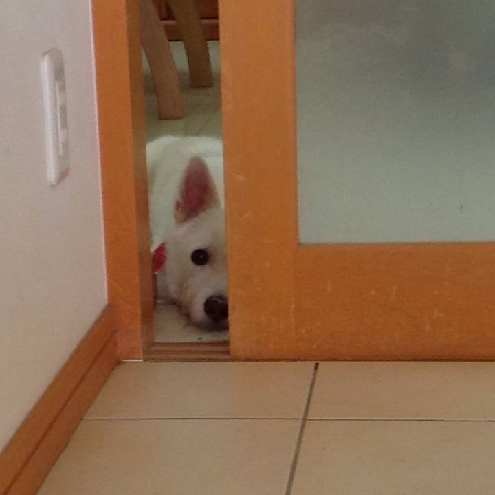 4acfbaf5 0890 48c6 9bfa 8338b70c93f4 1533869214302