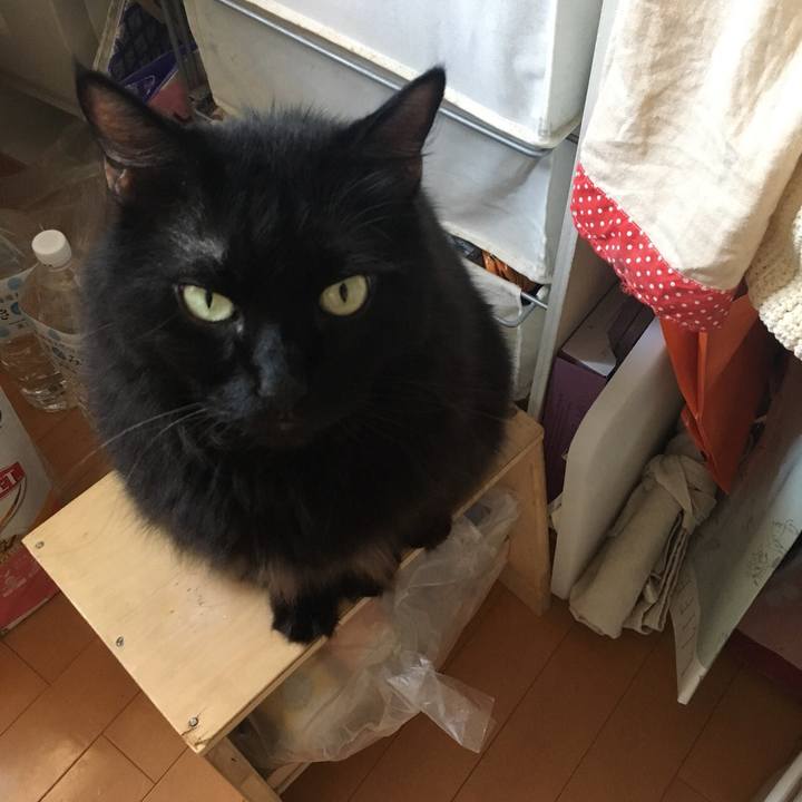 4acfd497 5fd3 4dfa 8fe2 e1b74718220e 1565072634248