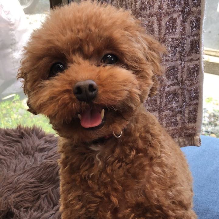 4acff8e5 cfe5 47b4 8ffc 946b15892aaa 1588045768702