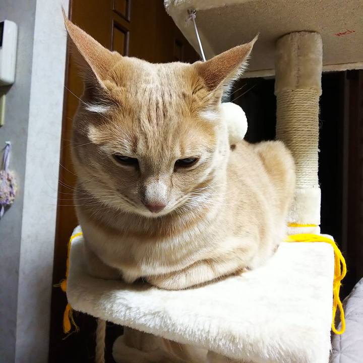 4ad025ab 37eb 47ec ab8b afcbed604fe6 1589192821337