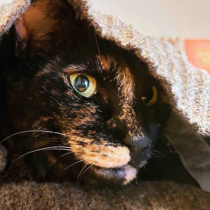 4ad0394b 73d6 4d9d 89cf 1848a72fd37f 1757887865472