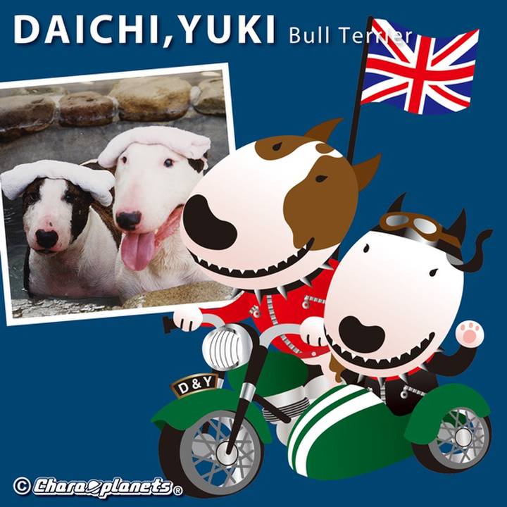 4ad048f8 f55e 49ee 8f11 50a6ac078fa2 1559522709997